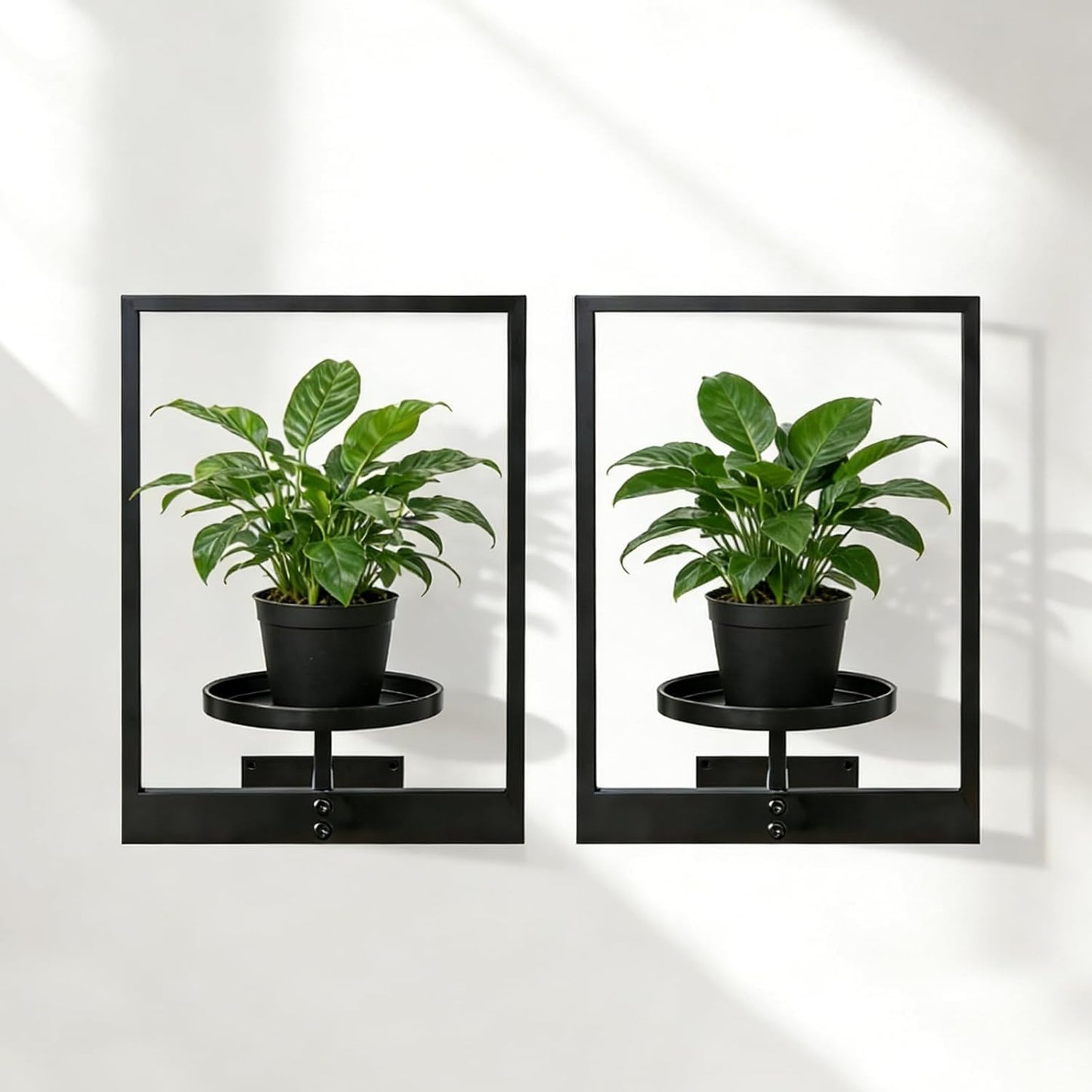 Picture Frame Wall Planters Set of 3, Modern Metal Hanging Shelves for Plants, Rustproof Wall Mount Flower Pot Holder for Indoor Outdoor, Decorative Plant Stand for Living Room Patio, White
