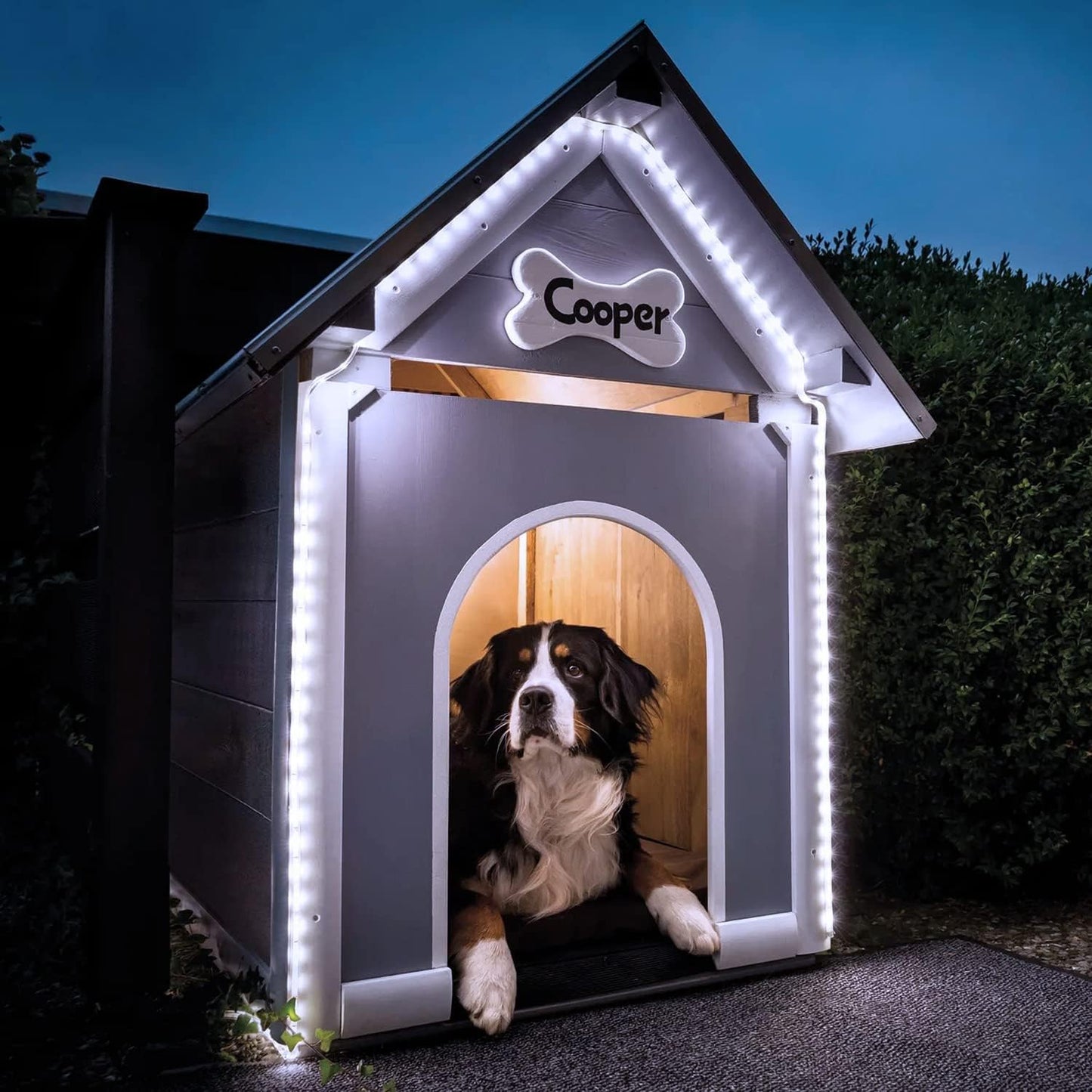 JMEXSUSS 2 Pack 100 LED Solar Rope Lights, 33ft 8 Modes Waterproof LED Solar Pool Lights for Trampoline, Fence, Gazebo, Yard, Walkway, Path, Garden Decor (White)