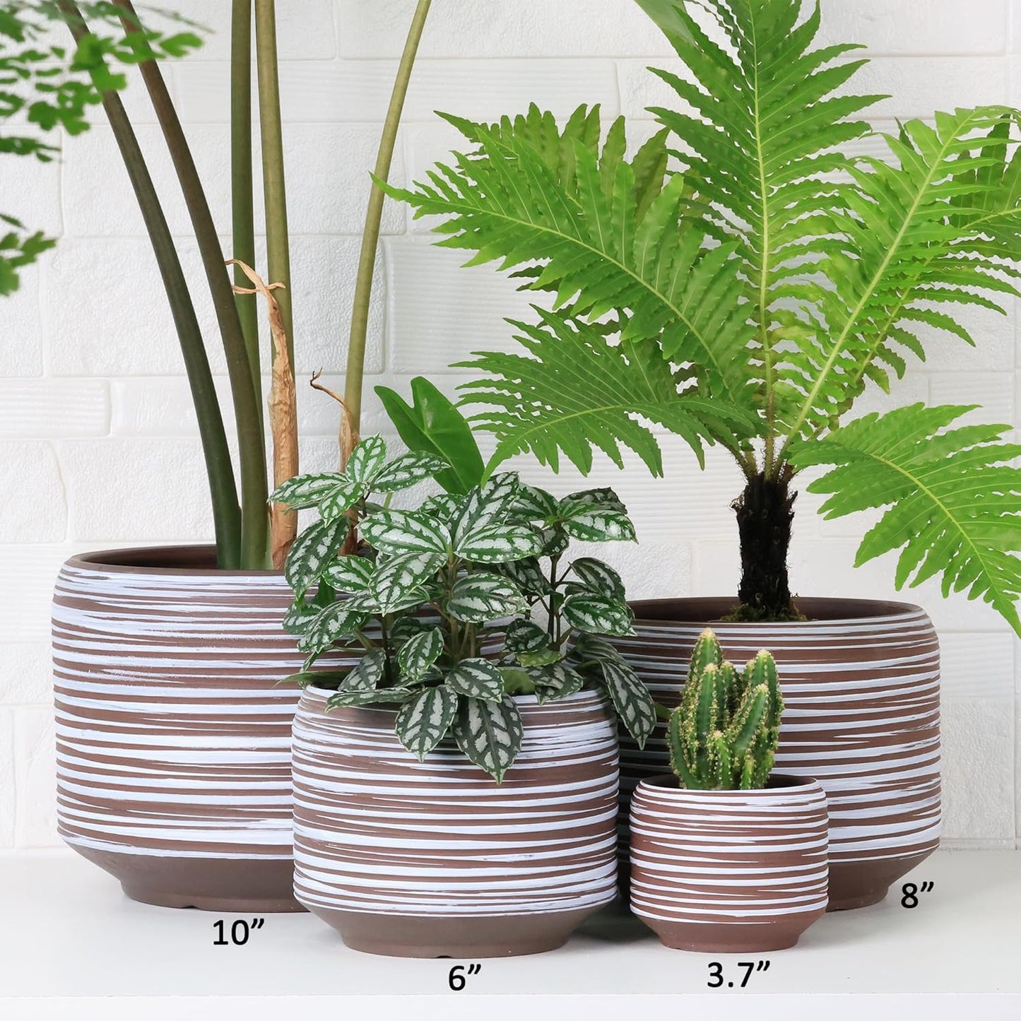 Mini Succulent Planter Set – 3.7 Inch Ceramic Pots with Drainage for Indoor Plants, Small Decorative Flower Pots for Cactus and House Plants, Set of 4