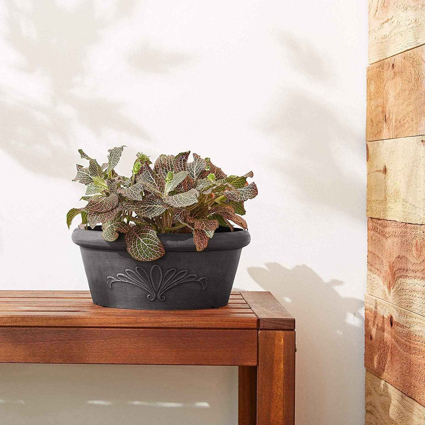 Arcadia Garden Products PSW Pot TA25DC Collection Shallow Bulb Pan Planter Dish Low Bowl for Succulents, Bonsai, Fairy Gardens, Herbs, 10-inch, Dark Charcoal, 10"x3.5"