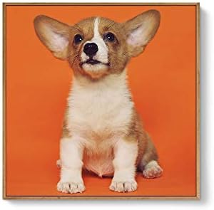 NWT Custom Framed Canvas Prints with Your Photo for Pets, Personalized Canvas Wall Art for Living Room, Bedroom - 24x24 inches