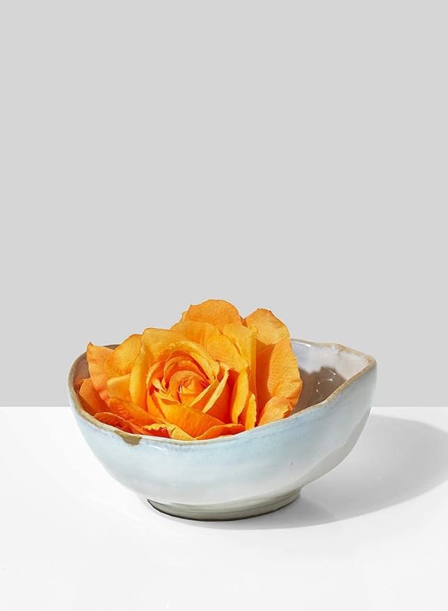 Serene Spaces Living Small Glazed Ceramic Bowl Under $20, Decorative Bowl for Home Décor, Shelf & Table Accent, 6" Diameter