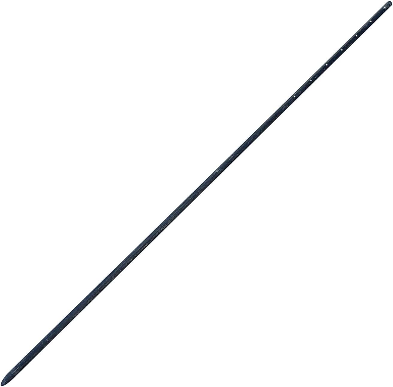 Sandbaggy Round Steel Concrete Form Stakes with Nail Holes - Rust Resistant Coating - Removable, Reusable (1, 3/4 in X 60 in)