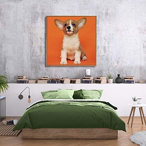 NWT Custom Framed Canvas Prints with Your Photo for Pets, Personalized Canvas Wall Art for Living Room, Bedroom - 16x16 inches