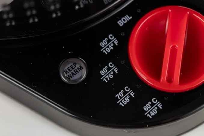 Bodum 11659-01EURO Bistro Electric Cooker, Double Wall Design with Temperature Control Plastic 19.5 x 23 x 26.5 cm Black, Plastic, Black, 19.5x23x26.5 cm