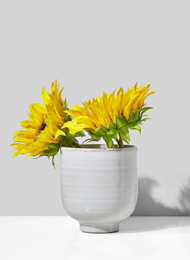 Serene Spaces Living Small Glazed Ceramic Pedestal Bowl, Set of 2- Centerpiece for Vintage Weddings, Events, Measures 4.25" Tall and 4" Diameter