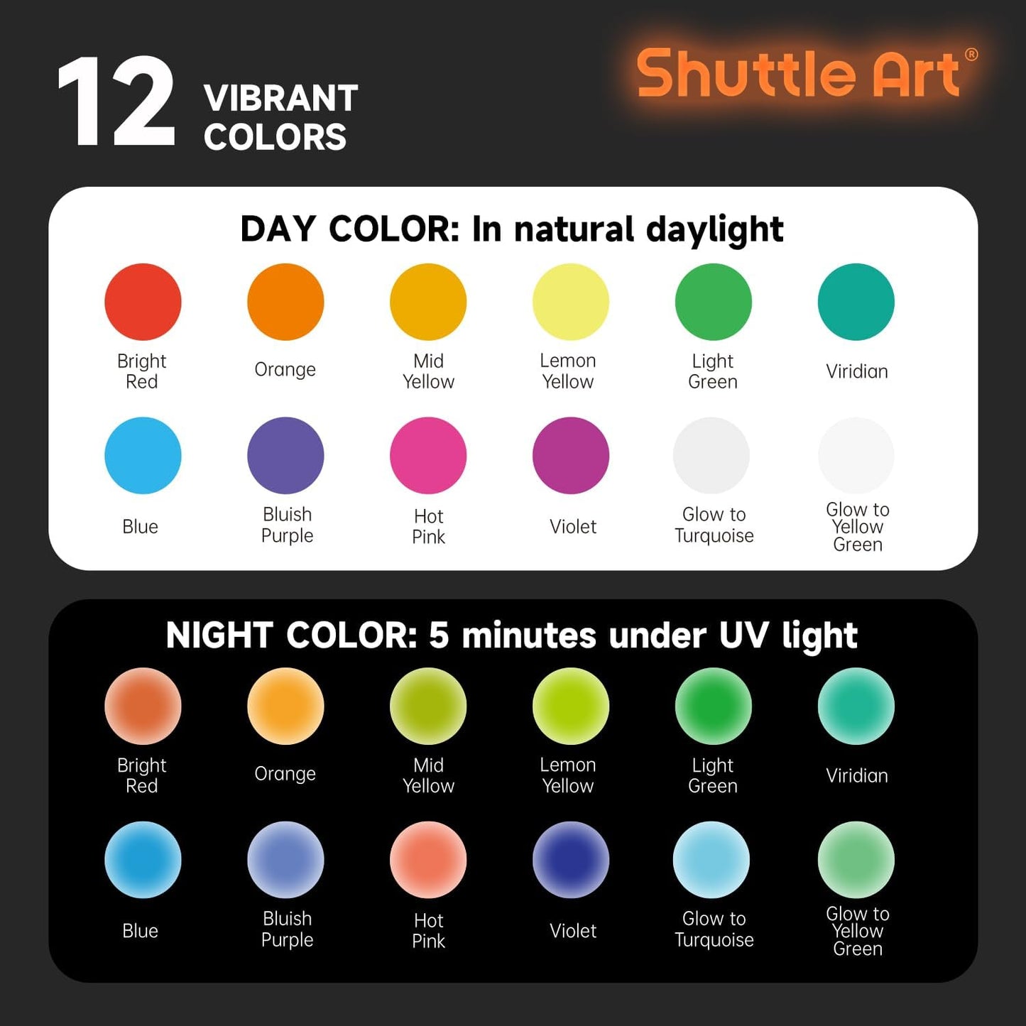 Shuttle Art Glow in the Dark Paint, 12 Colors with UV Light, 2oz/60ml Bottles, Ideal for Art Painting and Crafts, Great for Artists, Beginners on Rocks, Wood, Canvas, Fabric, and Halloween Decorations