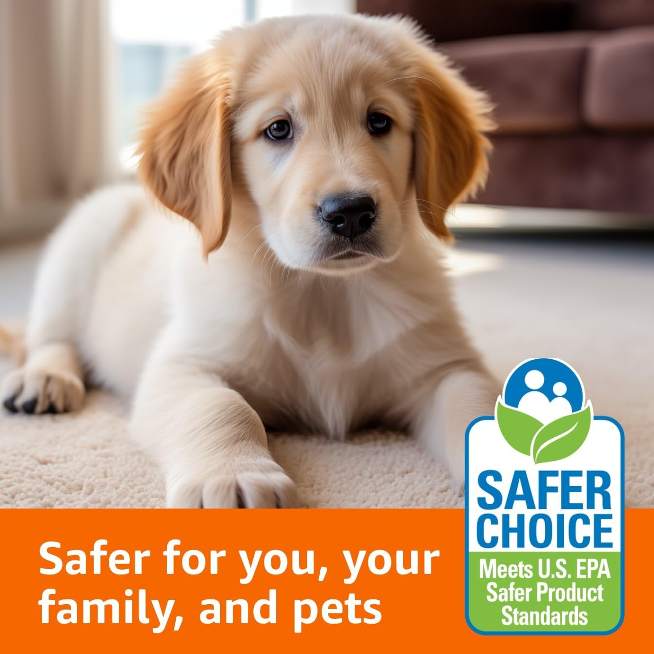 Amazon Basics Pet Stain Remover, Carpet Cleaner, Fresh Scent, 64 fl oz