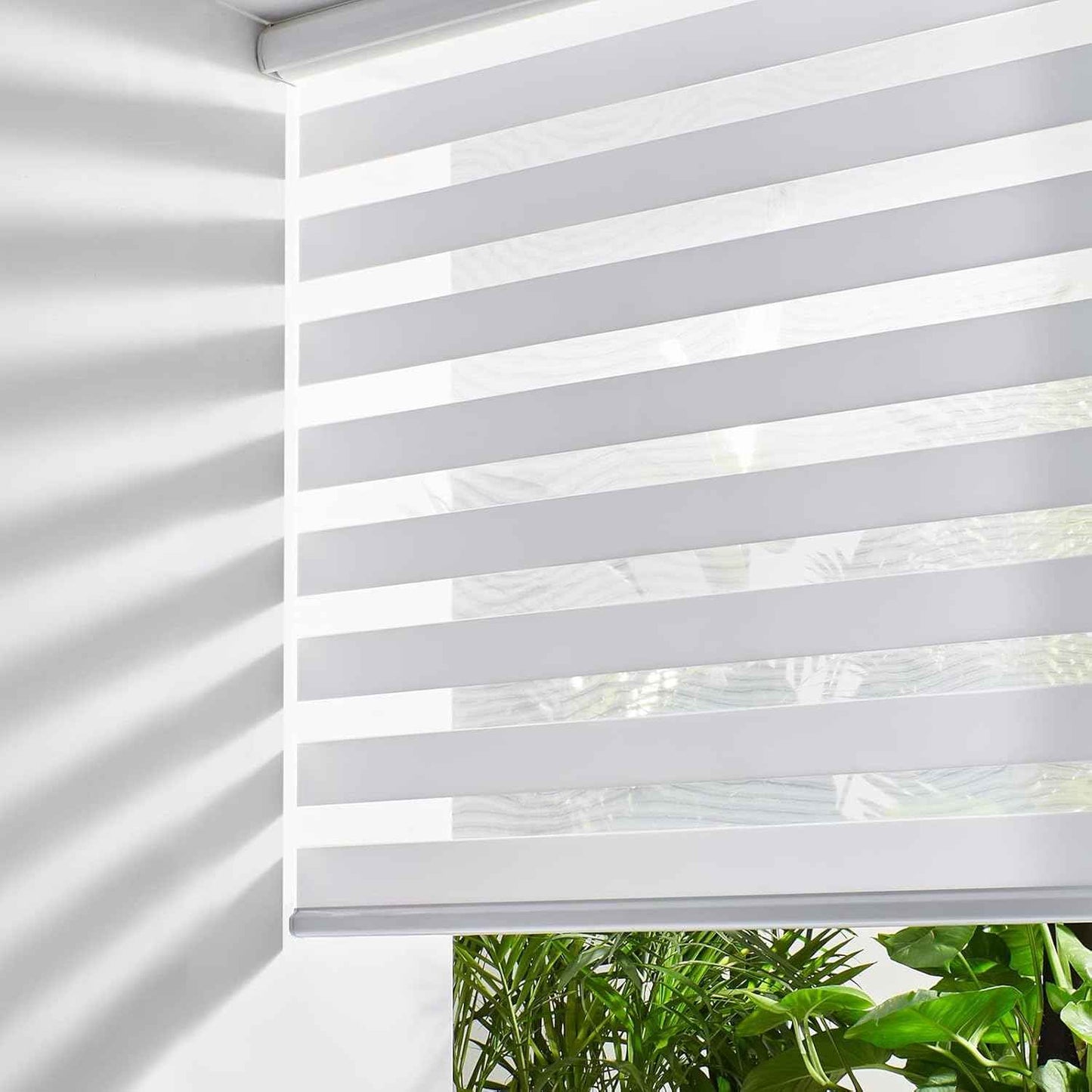 Persilux Cordless Zebra Blinds for Windows, Light Filtering Roller Shades for Windows (67" W x 72" H, White) Light Control for Day and Night, Light Filtering Sheer Shades for Home, Office, Bedroom