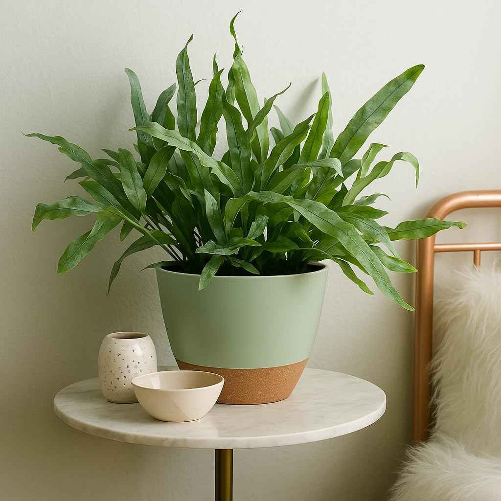 TYMENSH Plant Pots 12/10/9 inch Set of 3, Self Watering Flower Pots Indoor Outdoor, Planters with Drainage Hole Saucer Reservoir, Green