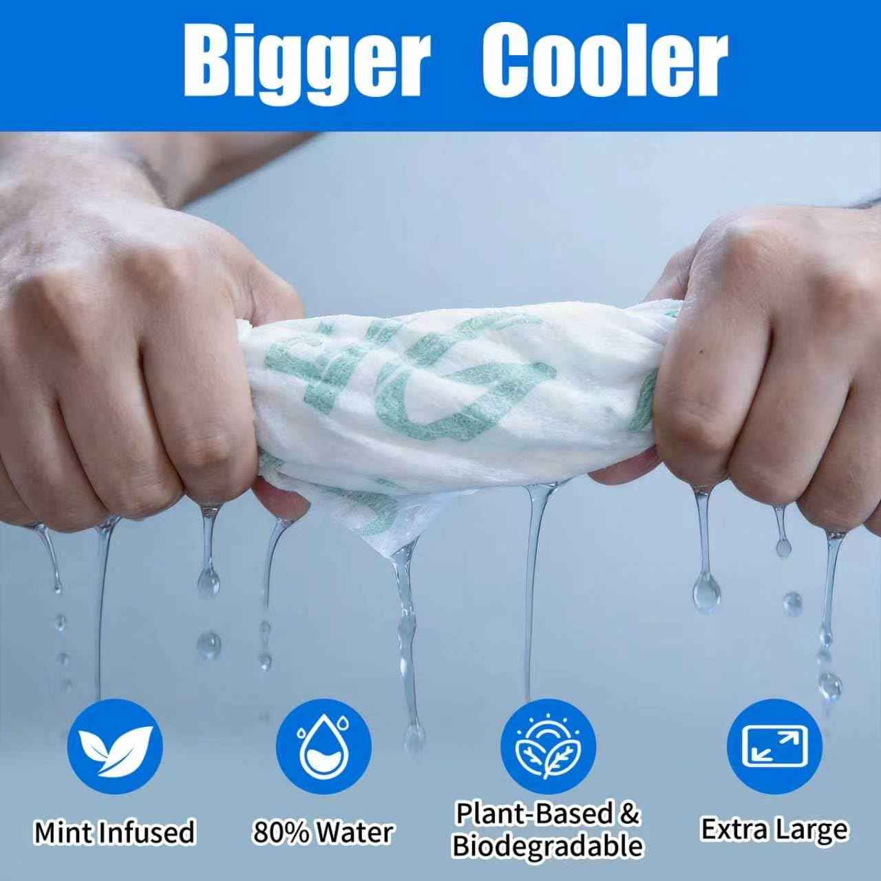 30 Pack Cooling Body Wipes, Alcohol-Free Cooling Towelettes Cooling Towel Alternative for Outdoor Sports, Camping, Hiking, Workout & Hot Weather(Green)