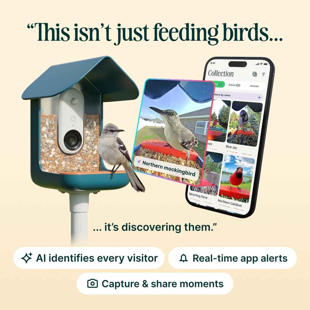 Birdbuddy PRO Smart Bird Feeder with Camera - AI Bird Species Identification, 5MP Photos, 2K HD Video Live Stream Camera, Slow-Motion Video, 2.6in Focus - Blue
