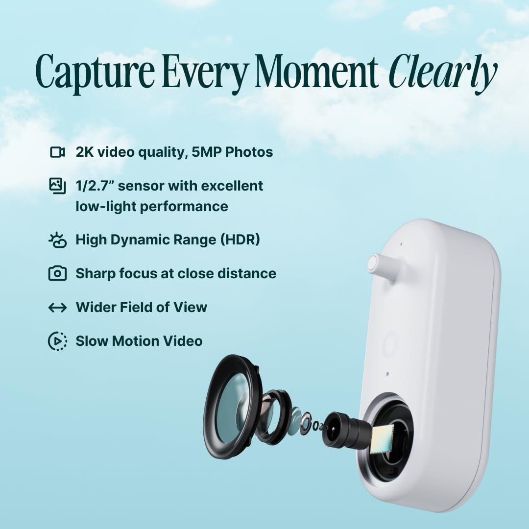 Birdbuddy PRO Smart Bird Feeder with Camera - AI Bird Species Identification, 5MP Photos, 2K HD Video Live Stream Camera, Slow-Motion Video, 2.6in Focus - Blue