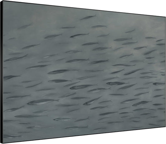 SIGNWIN 60"x72" Extra Large Framed Wall Art Gray School of Fish Minimalist Ocean-Inspired Marine Life Illustration for Home Living Room Bedroom Decor (Frame Assembly Required)