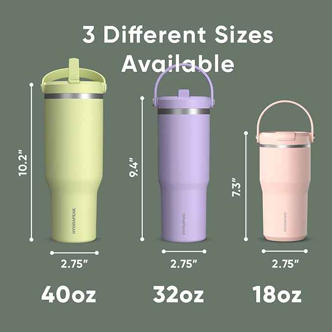 Hydrapeak Nomad 32 oz Tumbler with Handle and Straw Lid, Leakproof, Double Insulated, 32oz Cup, Stainless Steel | Sage Leaf