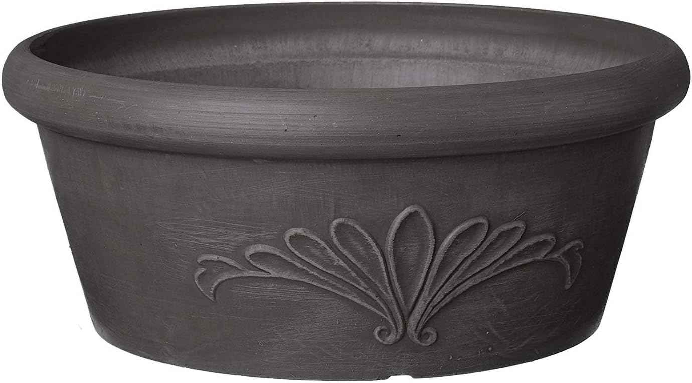 Arcadia Garden Products PSW Pot TA25DC Collection Shallow Bulb Pan Planter Dish Low Bowl for Succulents, Bonsai, Fairy Gardens, Herbs, 10-inch, Dark Charcoal, 10"x3.5"