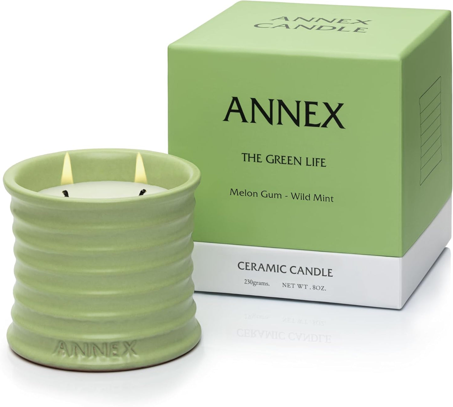 Scented Luxury Candles Outdoor Mosquito Bug Repellent Ceramic Jars, Soy Wax | The Green Life, Large Natural Candle - Green Melon & Peppermint | Non Toxic, 2 Wicks, Reusable Jar