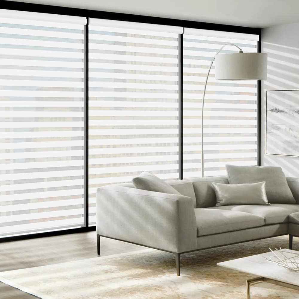 LUCKUP Cordless Zebra Blinds Roller Shades for Window-Dual Layer Sheer Blinds Light Control with Valance Day Night Privacy Light Filtering Fabric, 38" W x 72" H, White