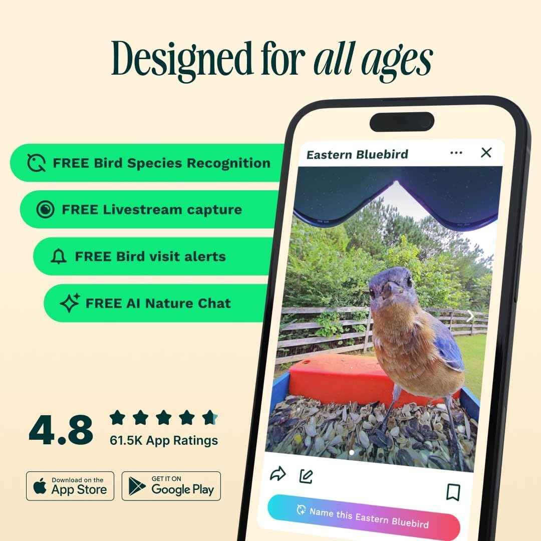 Birdbuddy PRO Smart Bird Feeder with Camera - AI Bird Species Identification, 5MP Photos, 2K HD Video Live Stream Camera, Slow-Motion Video, 2.6in Focus - Blue
