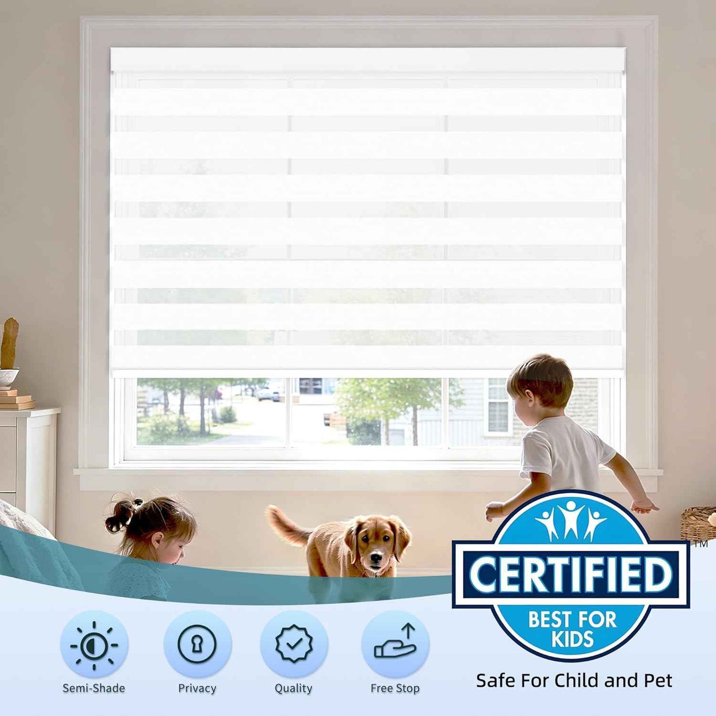 Cordless Zebra Blinds for Windows (29" W X 72" H, White) Free-Stop Zebra Roller Shades Dual Layer Light Filtering Privacy for Day and Night, Light Control for Home, Bedroom, Office