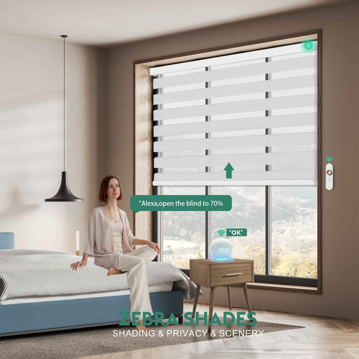 Motorized Zebra Blinds with Remote, Work with HomeKit Alexa Automatic Electric Window Shades 90% Blackout Light Filtering for Smart Home and Office, Customized Size Classic White