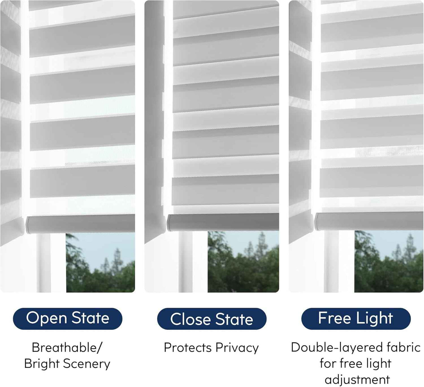 Custom Cordless Zebra Blinds for Windows – Fabric Roller Shades,Sheer Dual Layer Light Filtering Shades for Day and Night Privacy, Free-Stop for Home, Office,Easy to Install