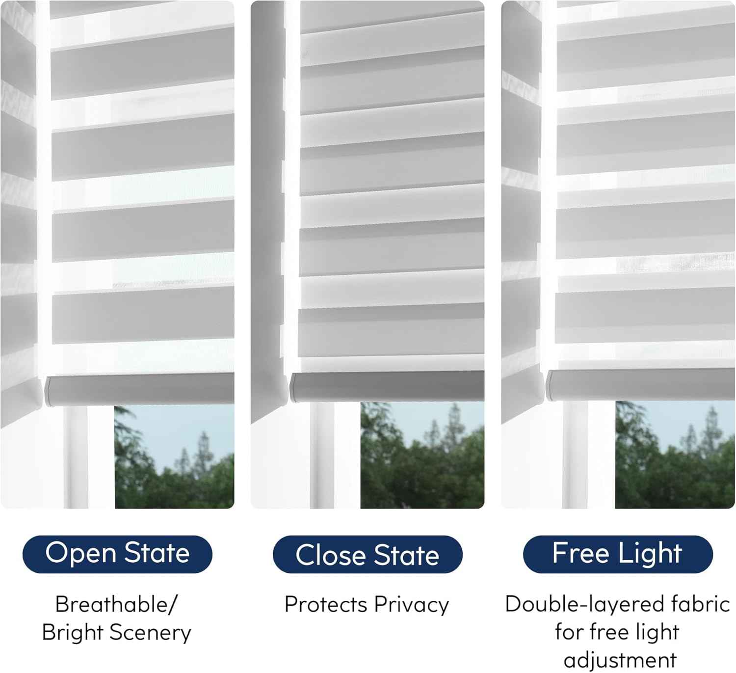Custom Cordless Zebra Blinds for Windows – Fabric Roller Shades,Sheer Dual Layer Light Filtering Shades for Day and Night Privacy, Free-Stop for Home, Office,Easy to Install