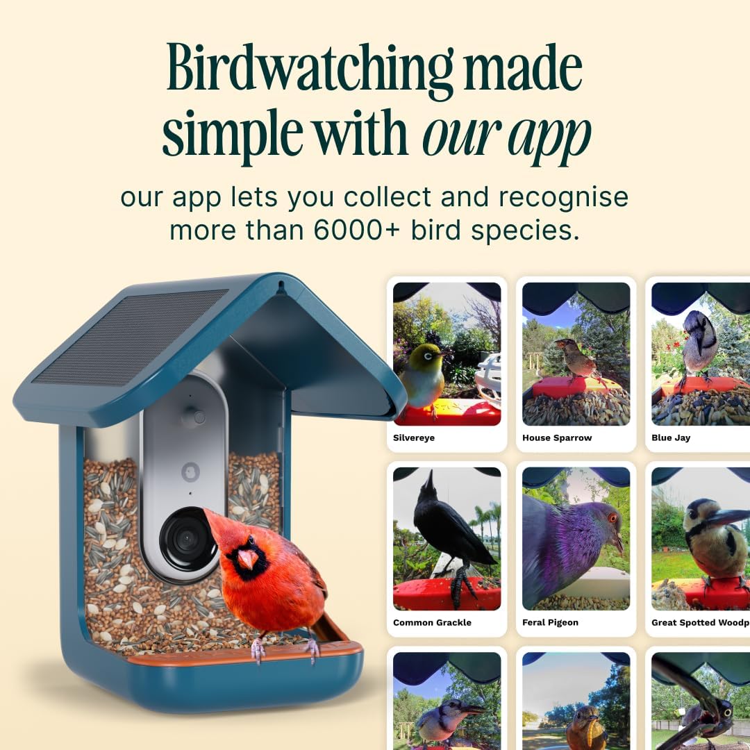 Birdbuddy PRO Smart Bird Feeder with Camera - AI Bird Species Identification, 5MP Photos, 2K HD Video Live Stream Camera, Slow-Motion Video, 2.6in Focus - Blue