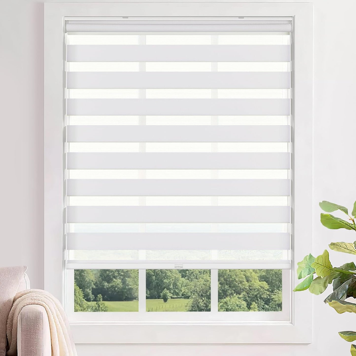 LazBlinds No Tools No Drill Cordless Zebra Blinds for Windows, Dual Layer Light Control for Day and Night, Light Filtering Privacy Roller Blinds and Shades for Home, 36" W x 48" H, White