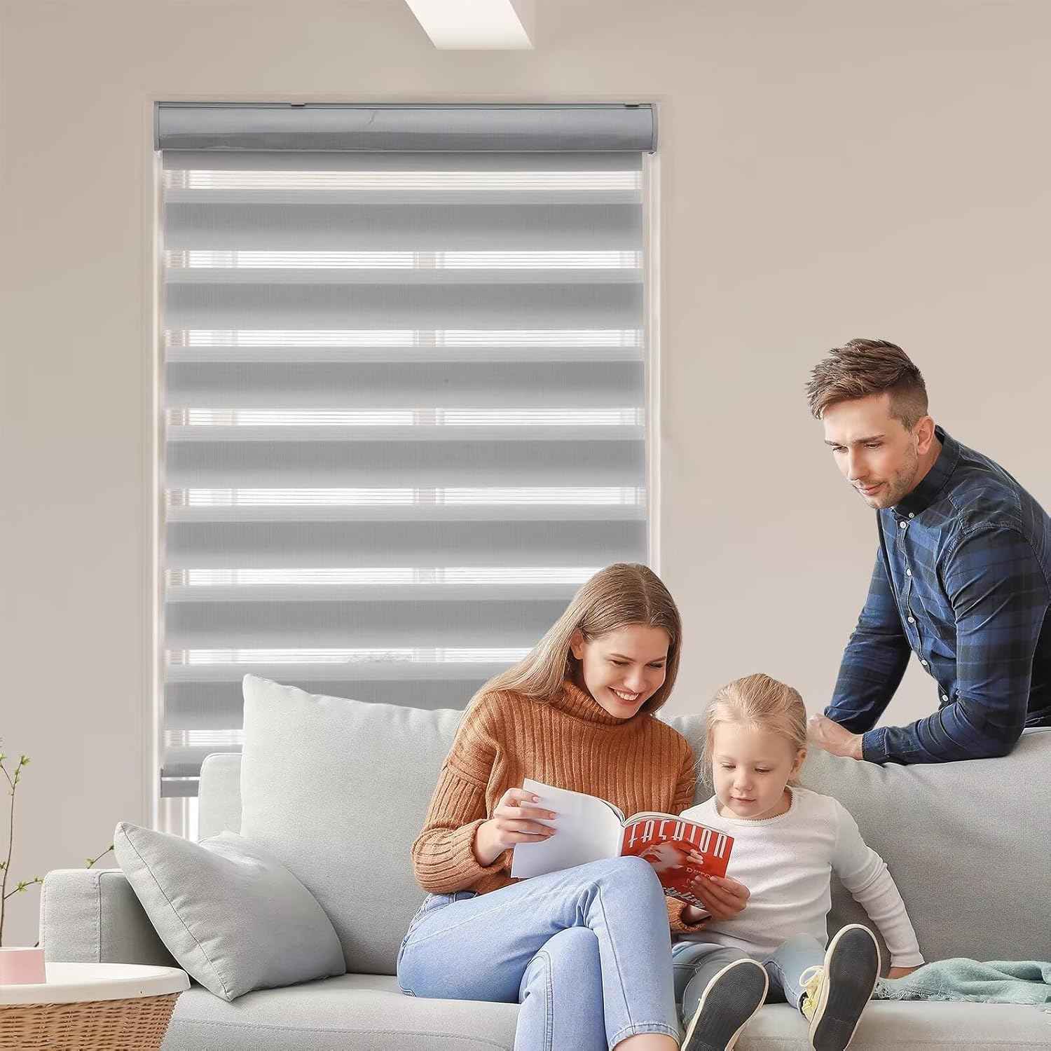 MYshade Roller Shades Zebra Blinds for Indoor Windows Cordless Day and Night Light Filtering Dual Layer Roller Window Blinds & Shades, Easy to Install, Size 24" W x 72" H, Grey