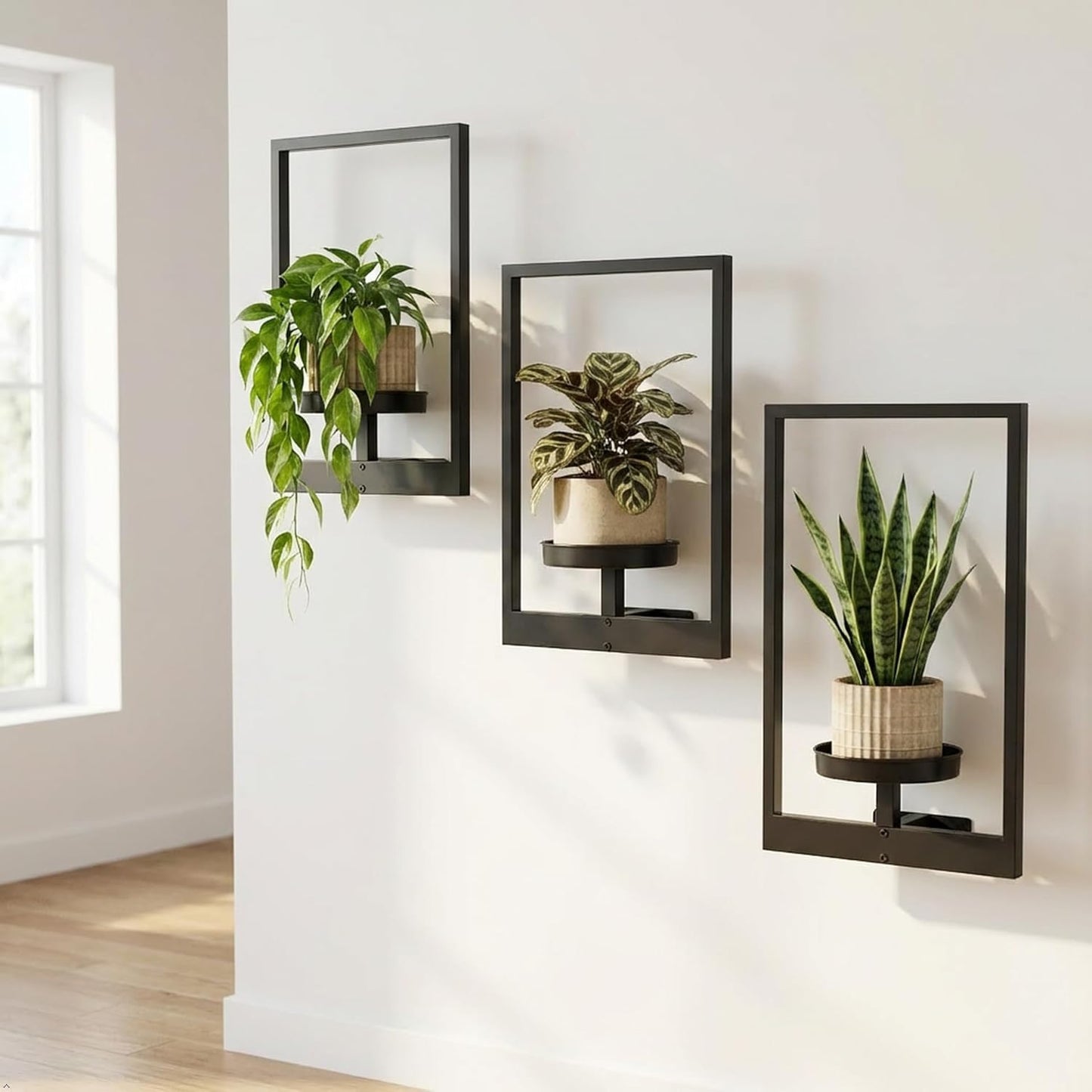Picture Frame Wall Planters Set of 3, Modern Metal Hanging Shelves for Plants, Rustproof Wall Mount Flower Pot Holder for Indoor Outdoor, Decorative Plant Stand for Living Room Patio, White