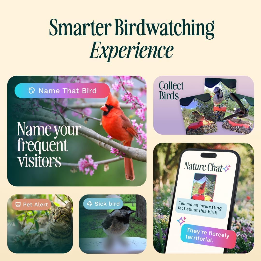 Birdbuddy PRO Smart Bird Feeder with Camera - AI Bird Species Identification, 5MP Photos, 2K HD Video Live Stream Camera, Slow-Motion Video, 2.6in Focus - Blue