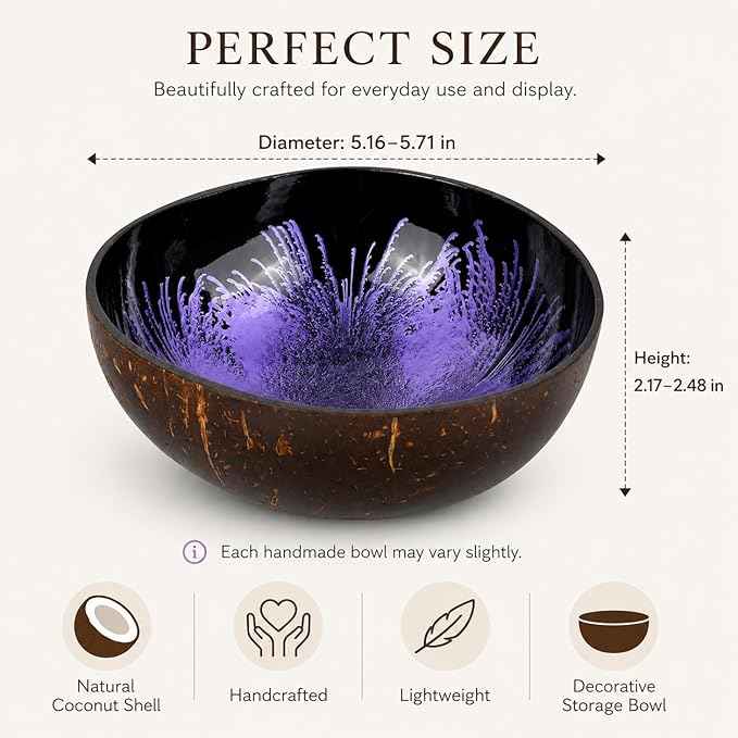 ChezMax Natural Coconut Bowl Mother of Pearl Inlaid Shell Bowls Key Bowl for Entryway Table Candy Container Nuts Holder Fruits & Dry Snack Storage Bowl Round Handcrafted Bowl for Decoration