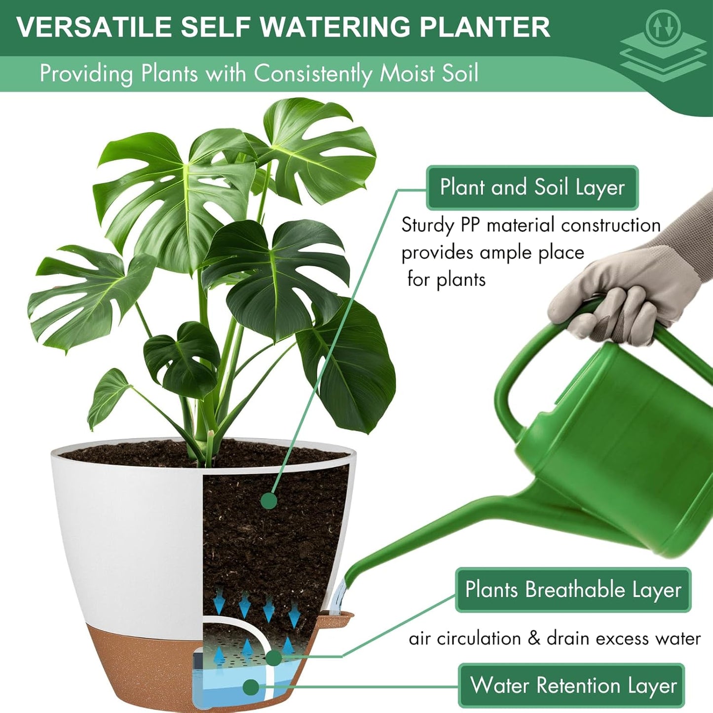 montresor 2 Pack 10 inch Plant Pots, PP Plastic Self Watering Plant Pot with Drainage and Tray for Indoor Outdoor Plants, Water Level Window & Reservoir Flower Pots Decorative Planter (White)