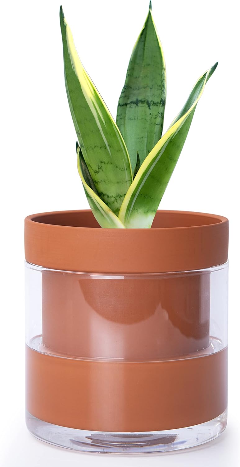 Phoenix Vine 6 Inch Self Watering Planter Pot, Terracotta Clay Pot with Glass Reservoir for Indoor Plants, Herbs, Flowers, Set of 1, 52-A-F-1