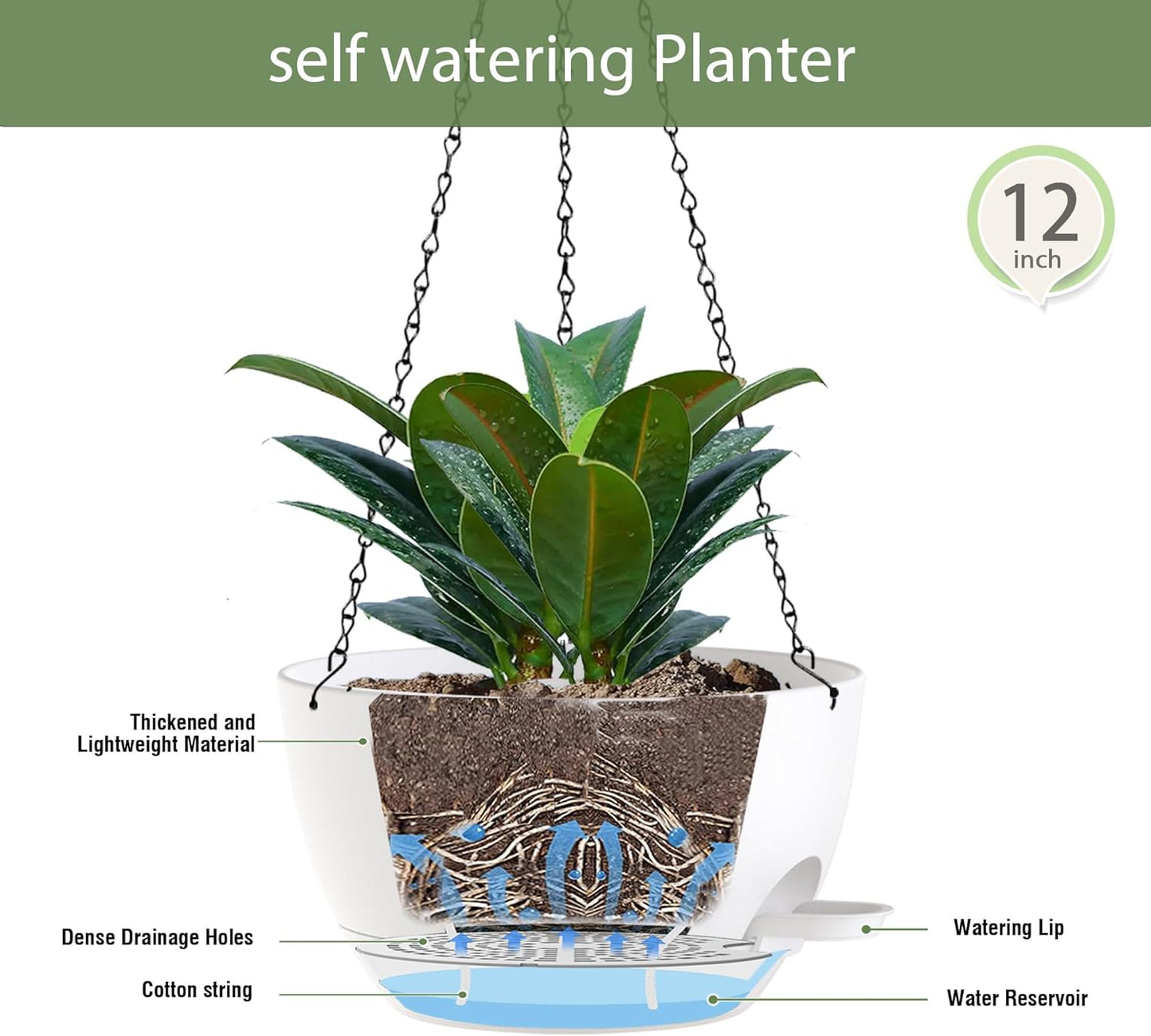 12 Inch Hanging Baskets 2 PC with Chains, Self-Watering Hanging Planters for Indoor Outdoor Plants, Plastic Hanging Flower Pots,White
