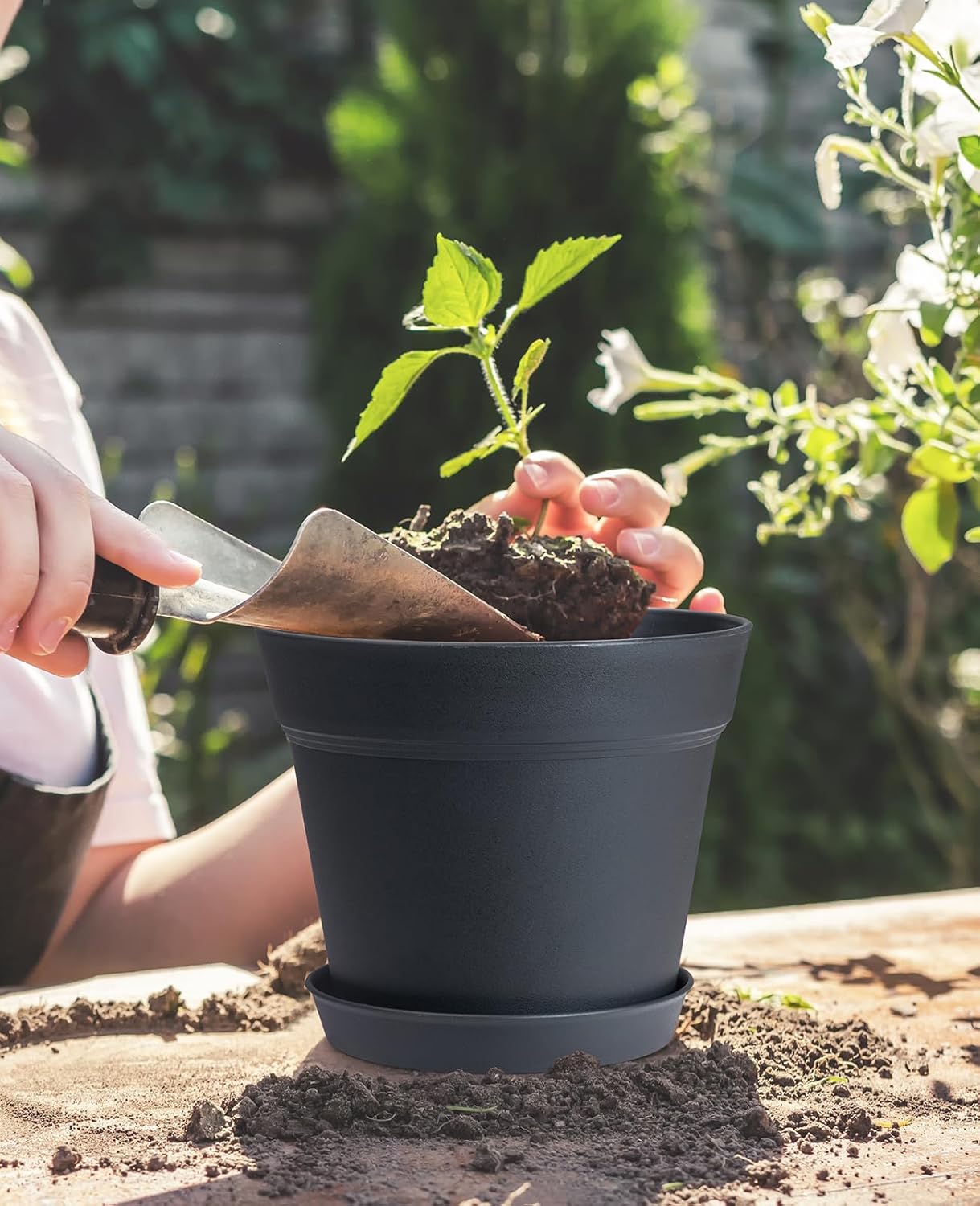 homenote Pots for Plants, 15 Pack 6 Inch Plastic Planters with Multiple Drainage Holes and Tray,Plant Pots for All Home Garden Flowers Succulents (Black)