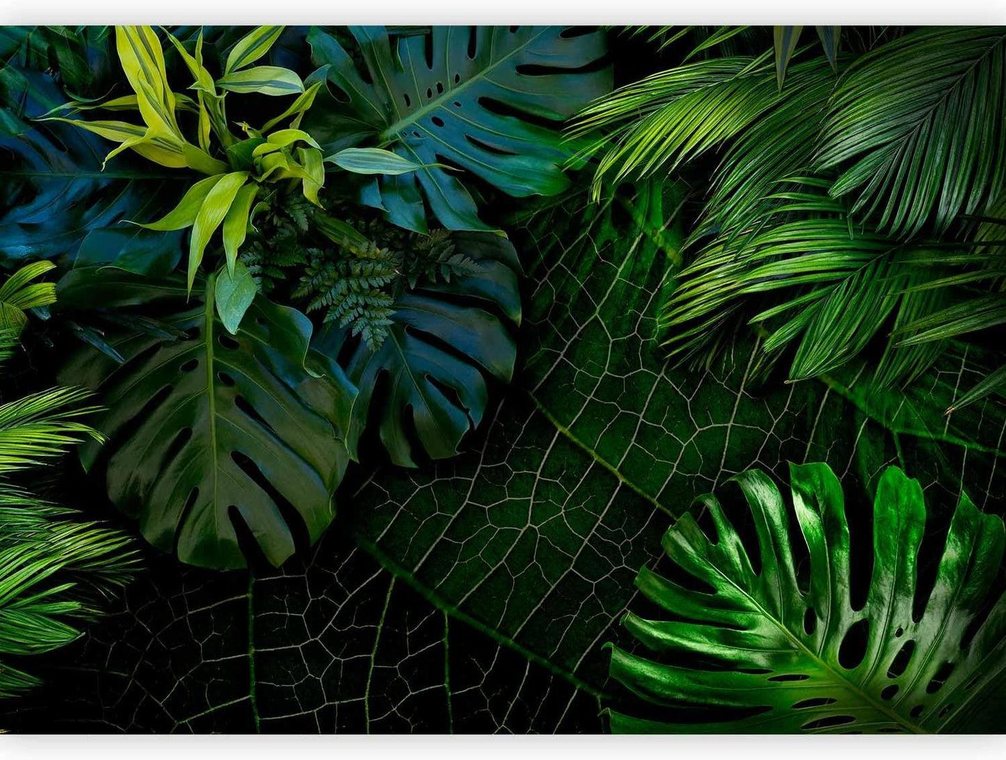 artgeist Wall Mural Tropical 138"x101" XXL Peel and Stick Self-Adhesive Wallpaper Removable Large Sticker Foil Wall Decor Print Picture Image Design b-C-0224-a-a