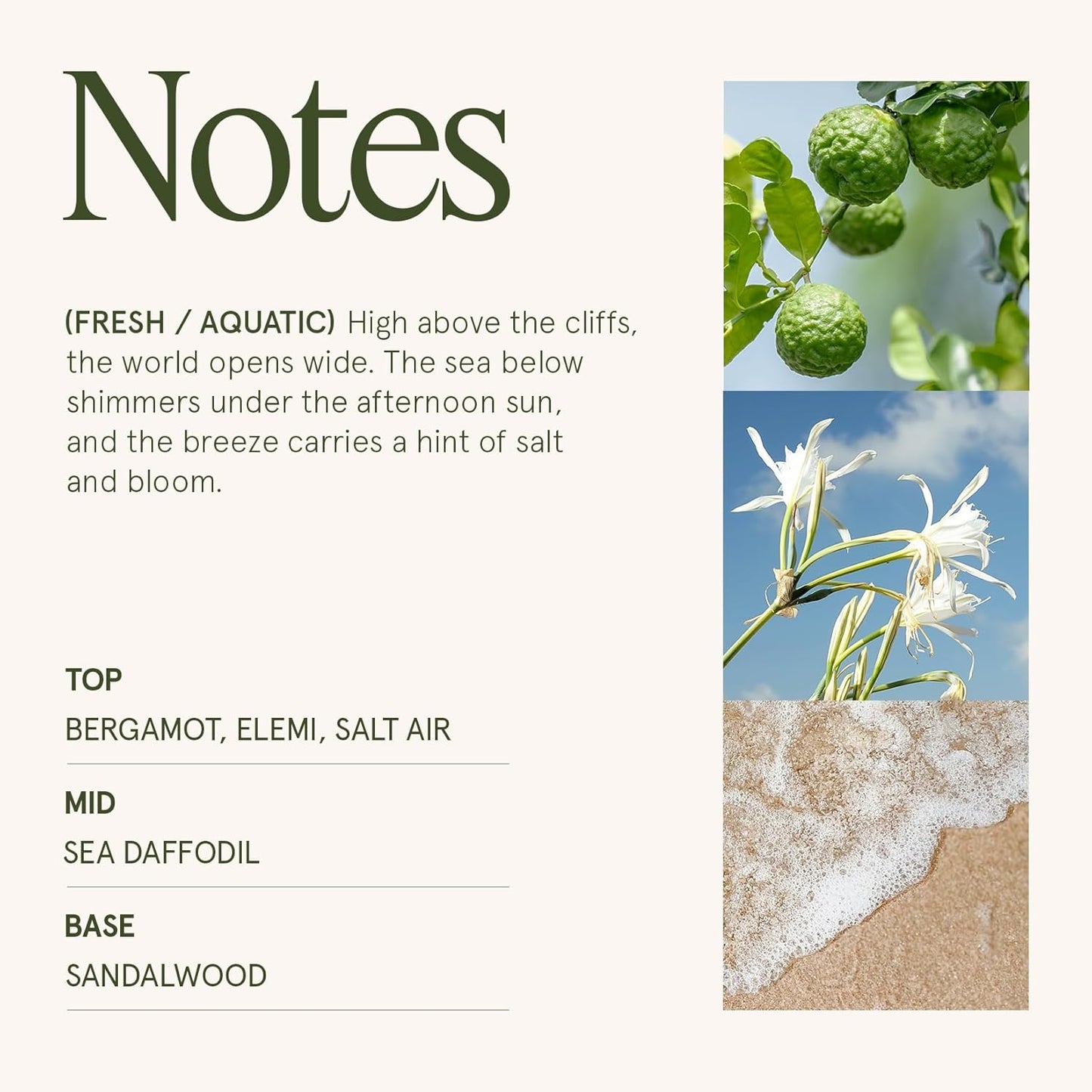 LA JOLIE MUSE Santorini Salt Air Candle - Bergamot, Sea Daffodil, Sandalwood | 6 oz Natural Soy Wax | 40 Hours Clean Burn | Ocean Scented Candle | Gift-Ready for Hosts & Gatherings