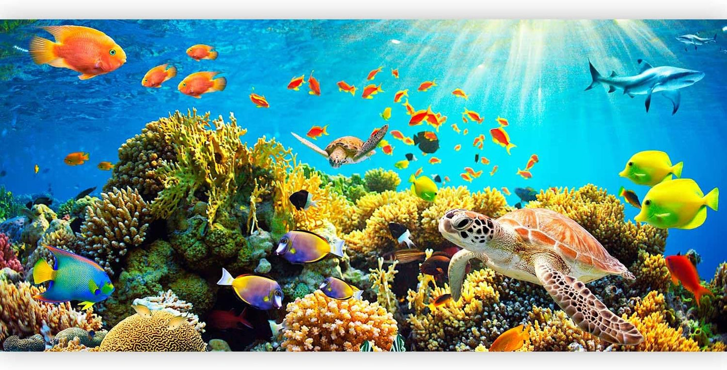 artgeist Premium Wall Mural Underwater World 216x98 in - Non-Woven Photo Wallpaper Art Print Fleece Wall Mural Decoration Poster Picture Design Ocean Fish Aquarium b-A-0002-a-b