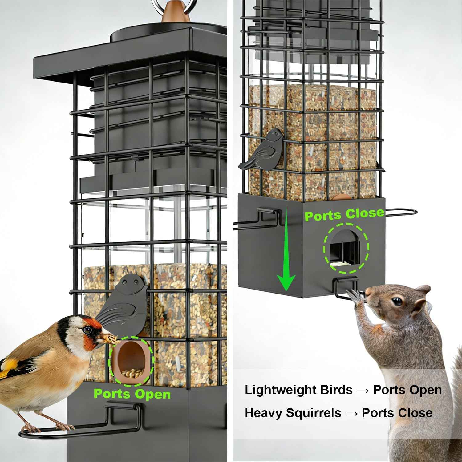 KRUOO Heavy Duty Metal Squirrel Proof Bird Feeder, 2.5LB Large Capacity, Weather Resistant, Easy Refill & Clean, Hanging Wild Bird Feeder