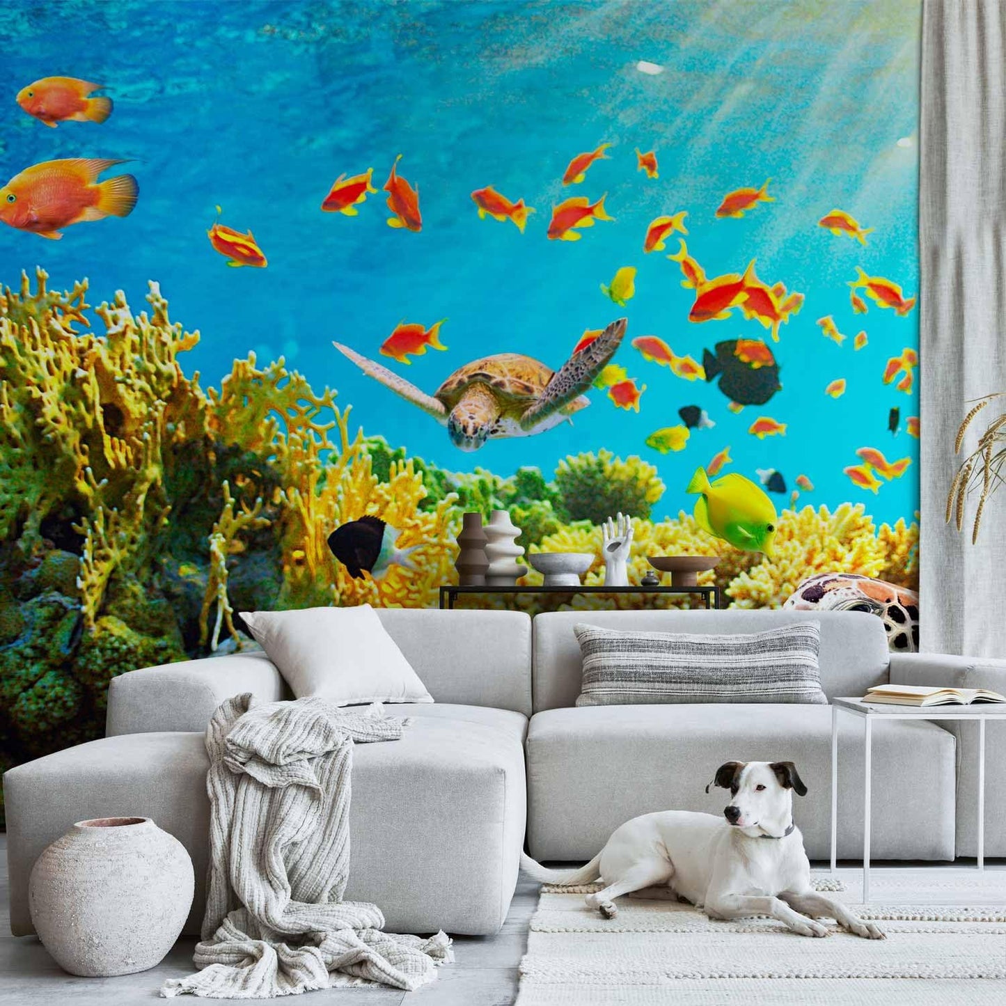 artgeist Premium Wall Mural Underwater World 216x98 in - Non-Woven Photo Wallpaper Art Print Fleece Wall Mural Decoration Poster Picture Design Ocean Fish Aquarium b-A-0002-a-b
