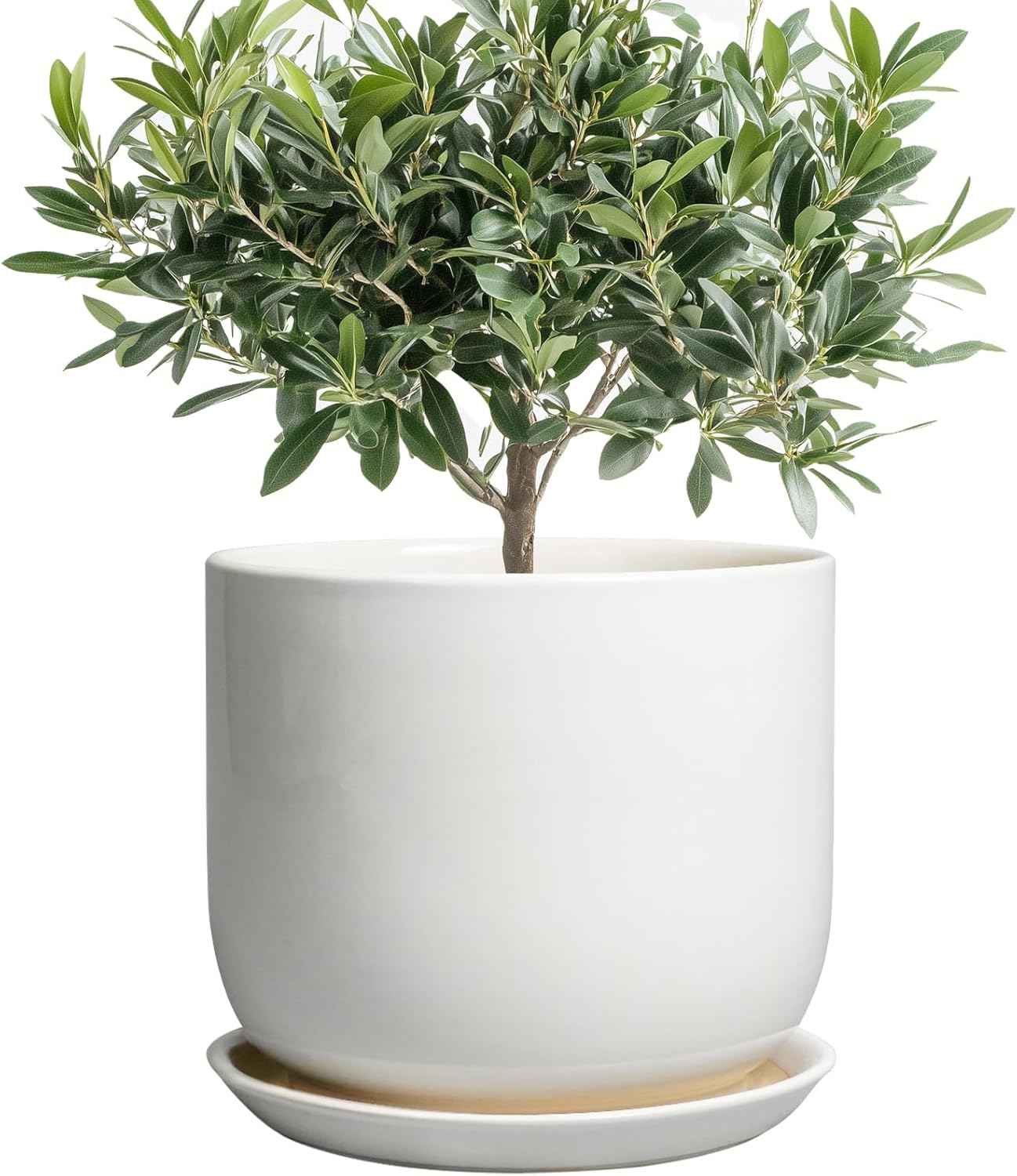 Ceramic Plant Pot - Modern 8 Inch Round Planter for Indoor Outdoor Plants with Drainage Hole and Saucer, Home House Room Office Decor, White