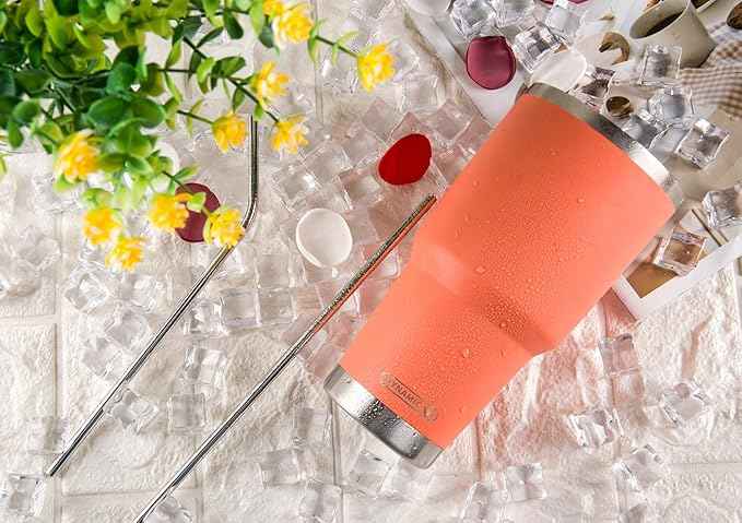 D·S 30oz Orange Tumbler Stainless Steel Insulated Travel Mug with Straw Lid Cleaning Brush (30oz Orange)