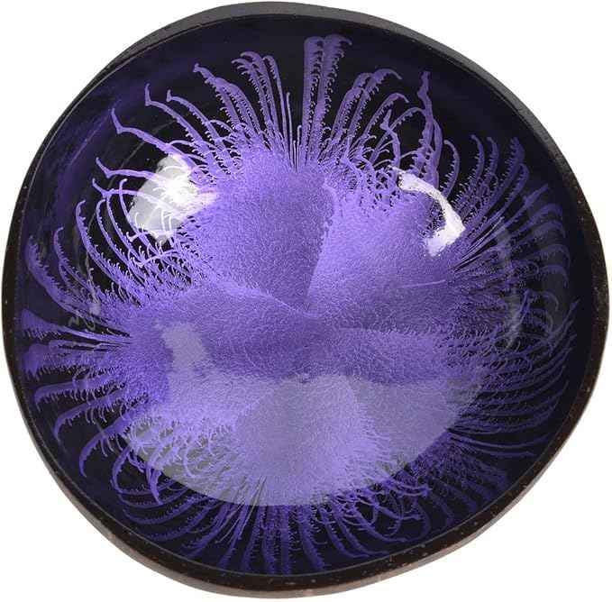 ChezMax Natural Coconut Bowl Mother of Pearl Inlaid Shell Bowls Key Bowl for Entryway Table Candy Container Nuts Holder Fruits & Dry Snack Storage Bowl Round Handcrafted Bowl for Decoration