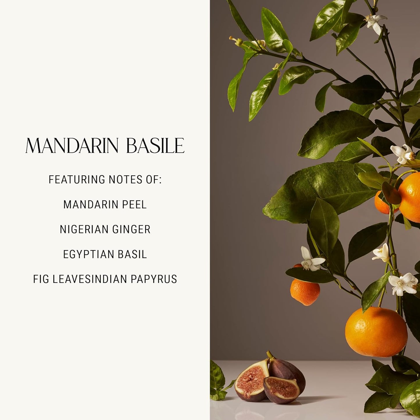 Homecourt Luxury Scented Candle, Mandarin Basile Scent, 60-Hour Burn Time, Soy Wax Blend, Organic Cotton Wick, Kiln-Fired Reusable Ceramic Vessel, 8 Oz