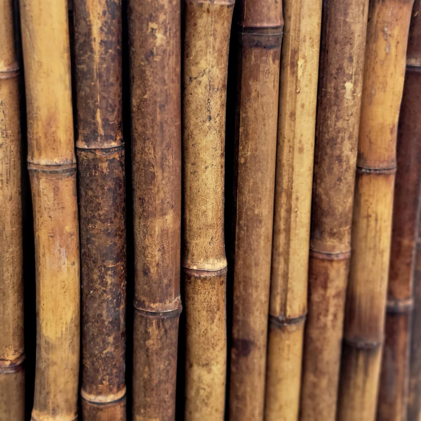 Backyard X-Scapes Dark Bamboo Fence Privacy Screen Decorative Fence Roll Panels, Caramel Brown 3 ft High x 8 ft Wide