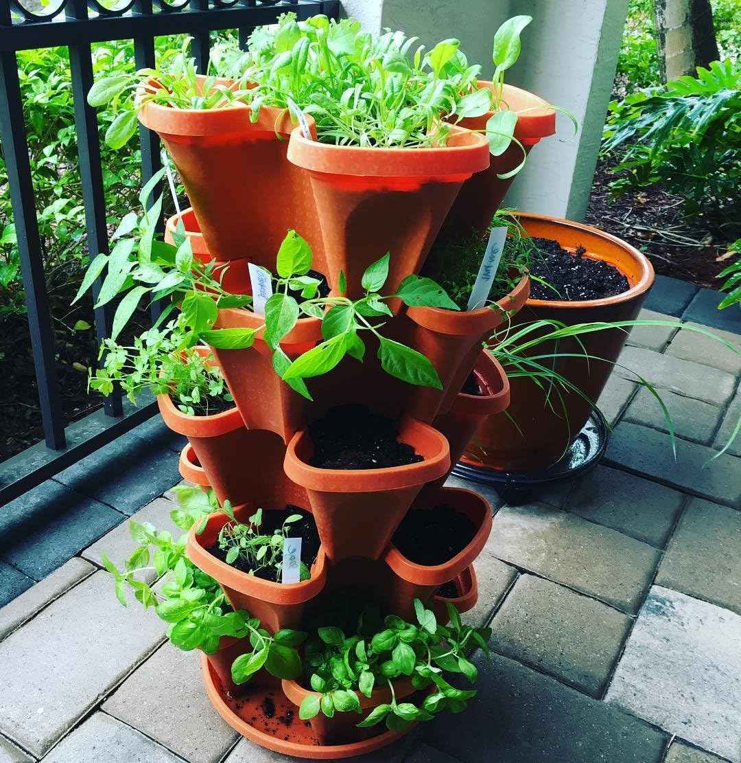 5 Tier Stackable Strawberry, Herb, Flower, and Vegetable Planter - Vertical Garden Indoor/Outdoor