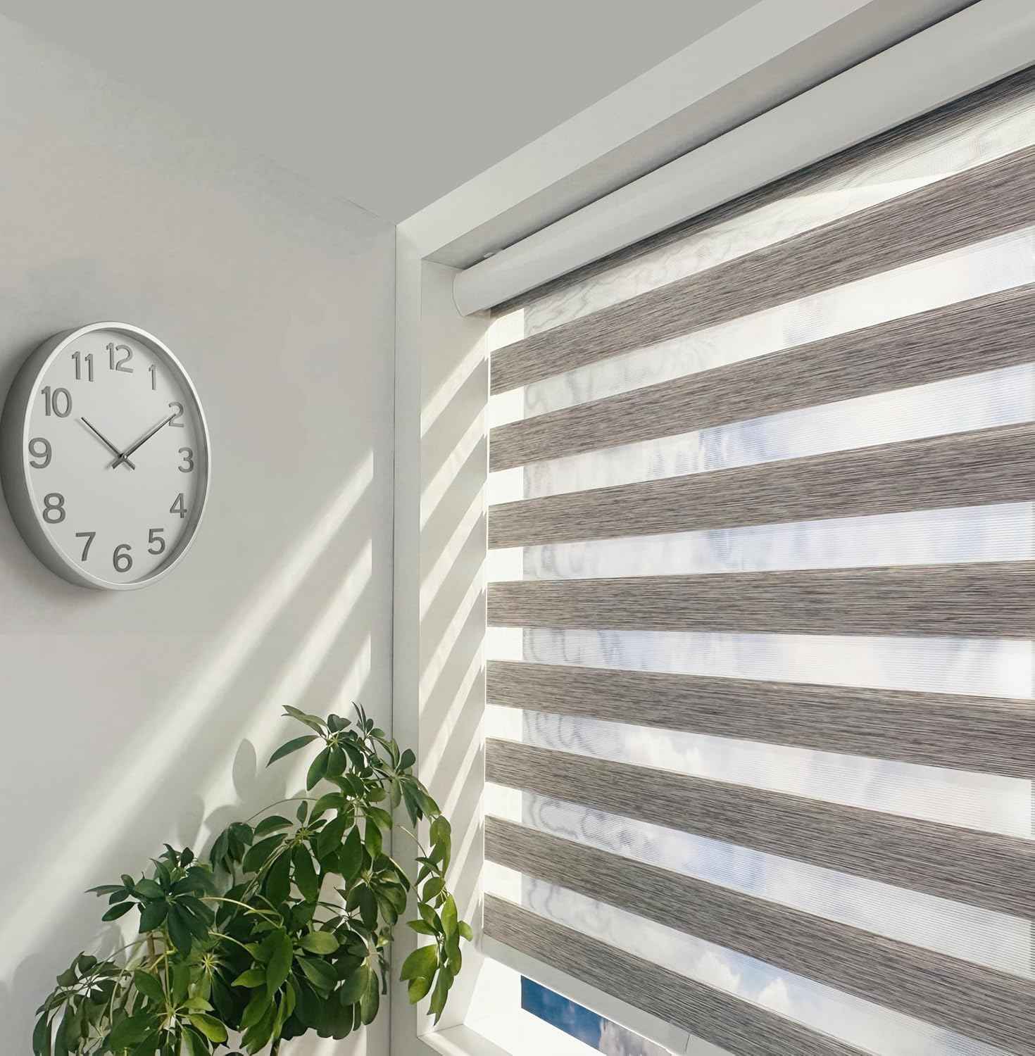 ShadesU Cordless Zebra Blinds – Light Filtering Dual-Layer Window Shades for Privacy (Grey Color) (Maximum Height 72") (Width 73")