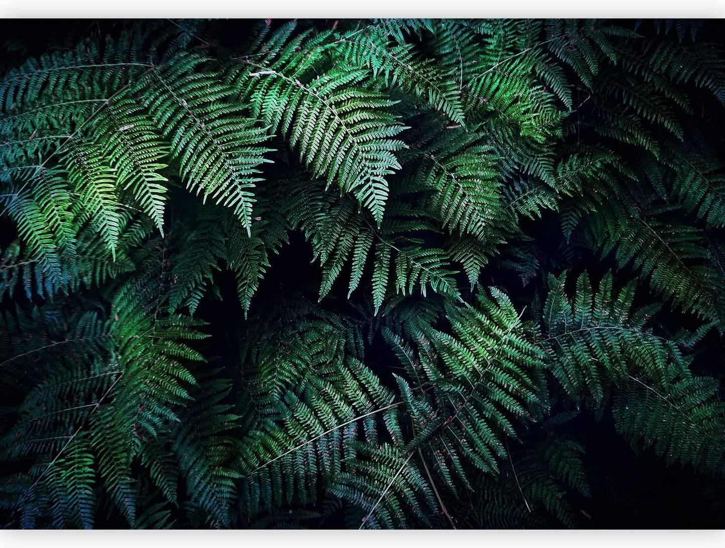 artgeist Wall Mural 3D Effect 138x101 in - XXL Non-Woven Wallpaper Fleece Wall Decor Photo Print Picture Image Design Home Tropical Leaves b-C-0564-a-a